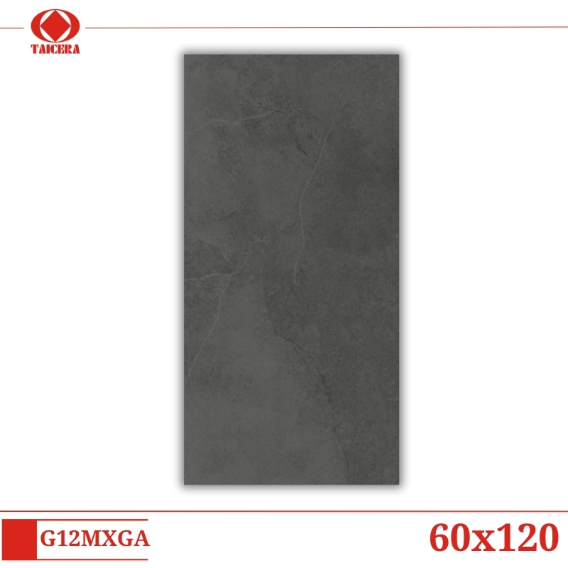 G12MXGA