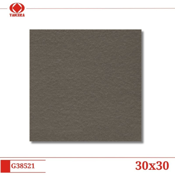 G38521
