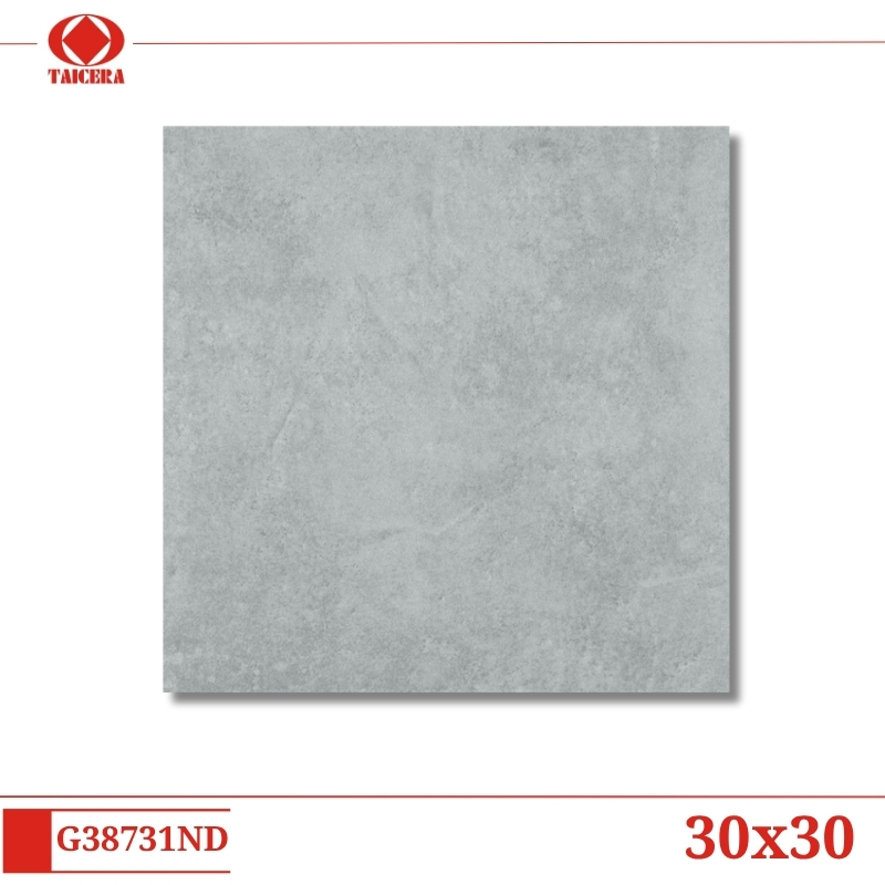 G38731ND