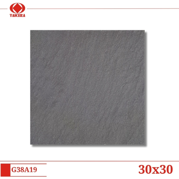 G38A19