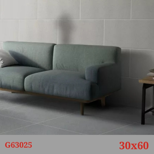 Phối cảnh gạch Taicera G63025