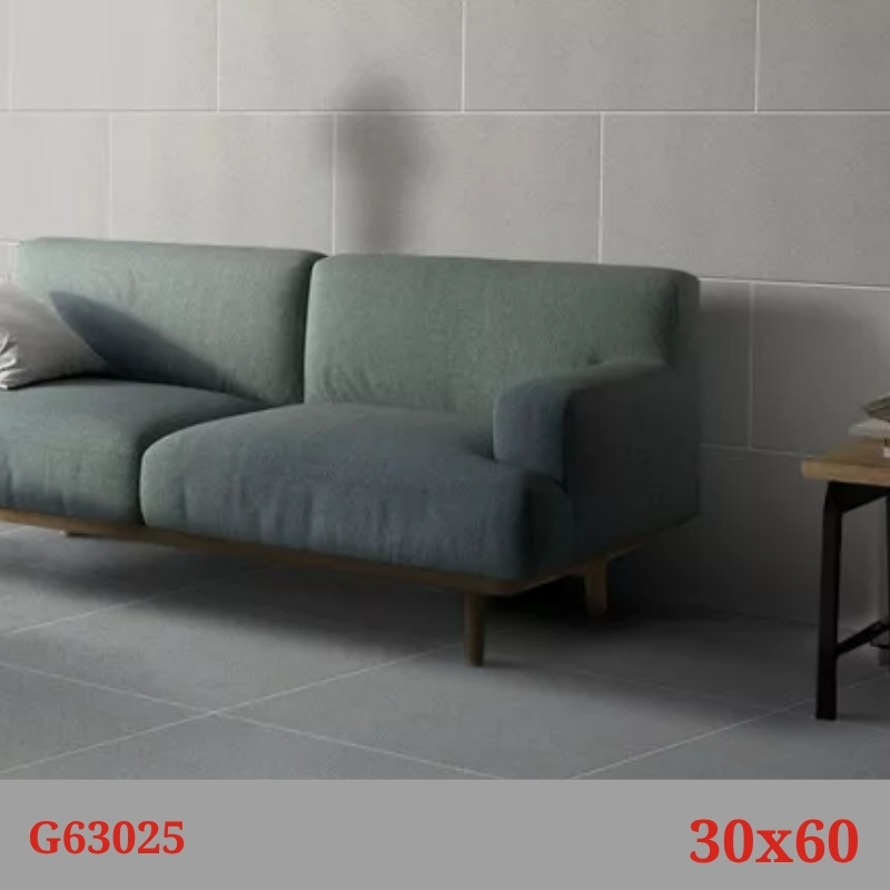 Phối cảnh gạch Taicera G63025