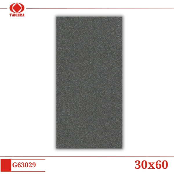 G63029