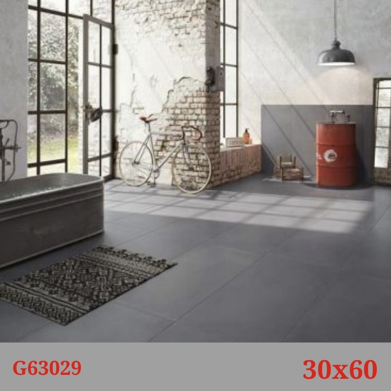 Phối cảnh gạch Taicera G63029