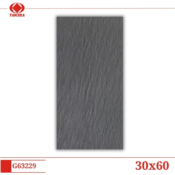 G63229