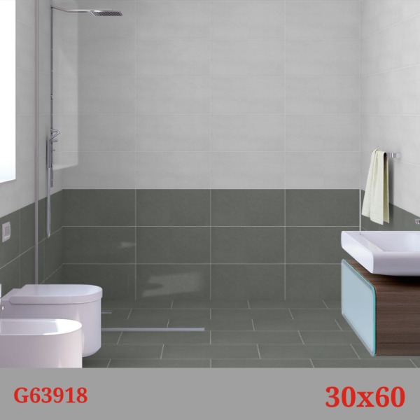 Phối cảnh gạch Taicera G63918
