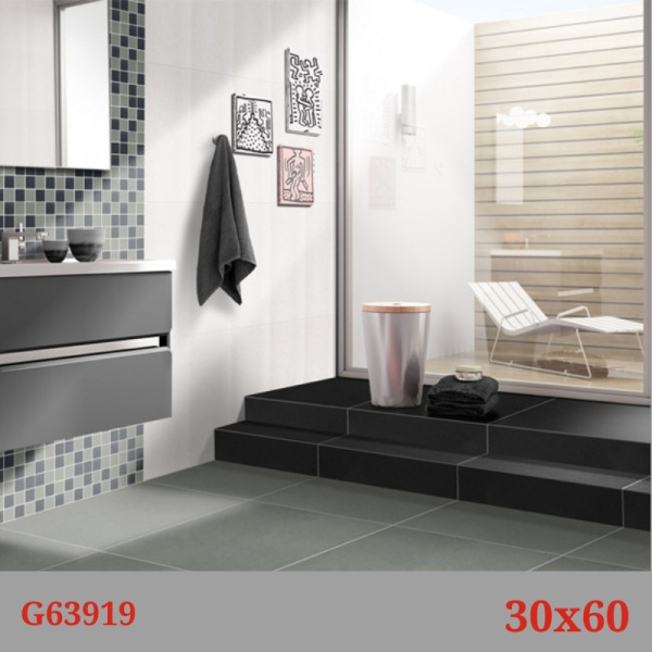Phối cảnh gạch Taicera G63919
