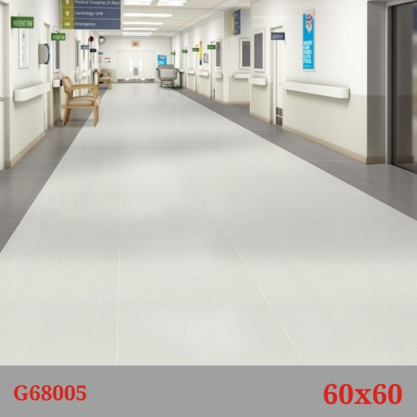Phối cảnh gạch Taicera G68005
