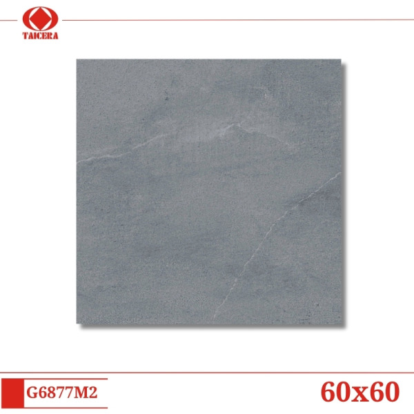 G6877M2