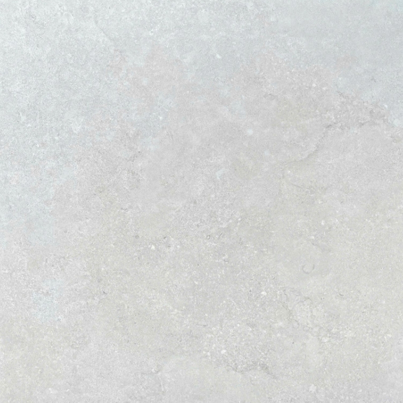 Map gạch Taicera G88P13JW