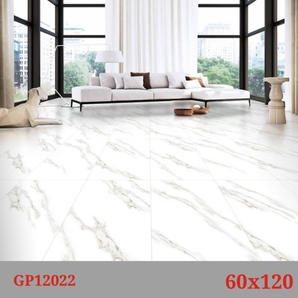 Phối cảnh gạch Taicera GP12022