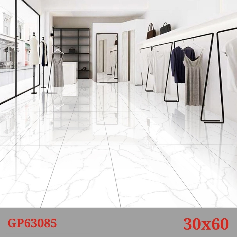 Phối cảnh gạch Taicera GP63085