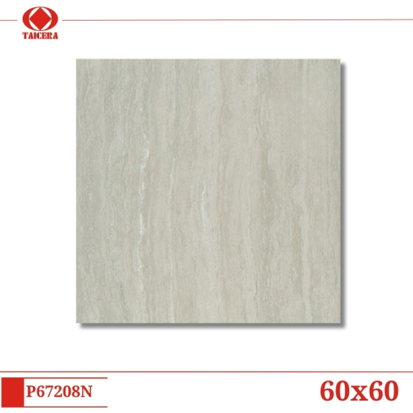 P67208N