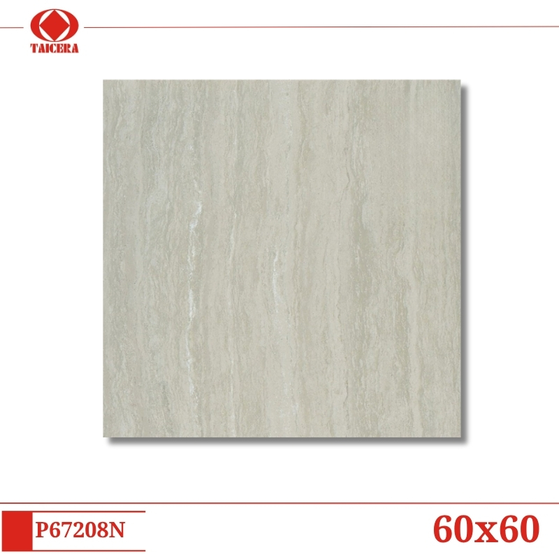 P67208N