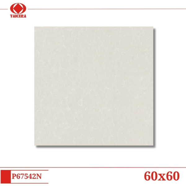 P67542N