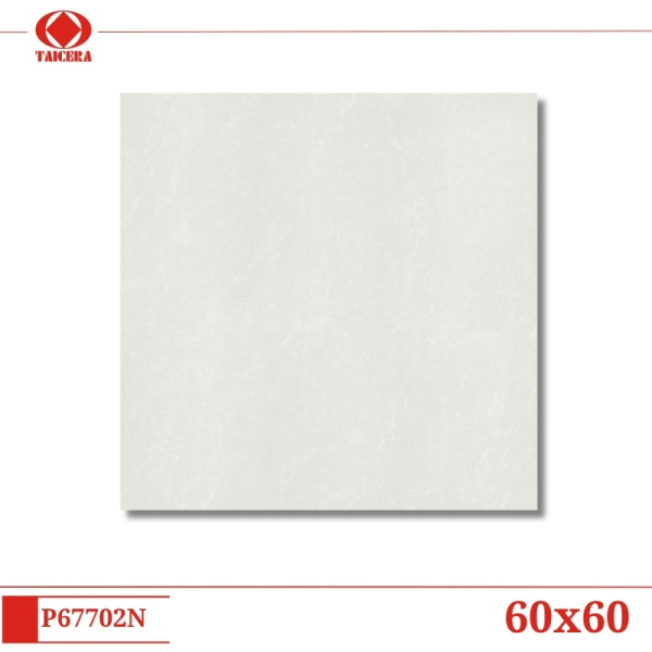 P67702N