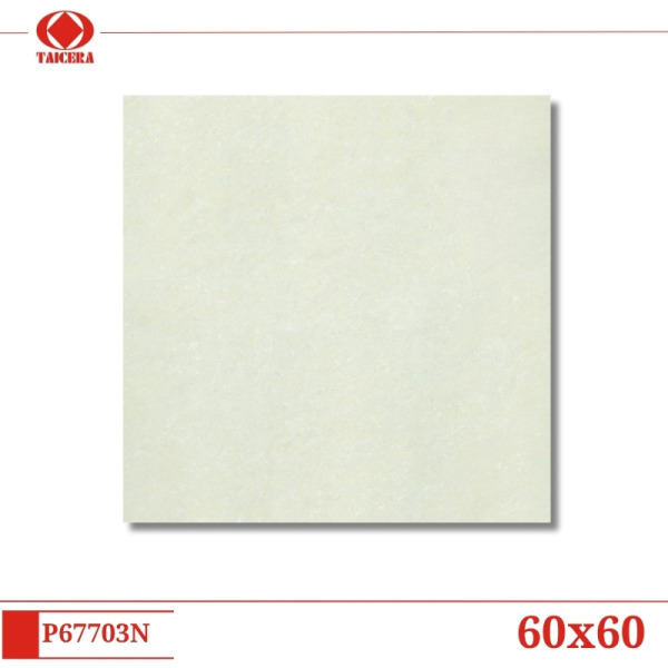 P67703N