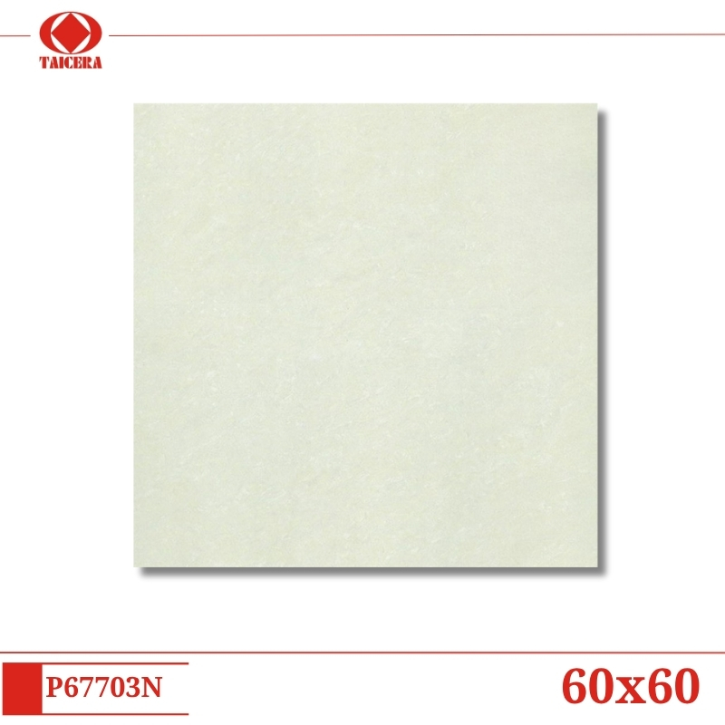 P67703N